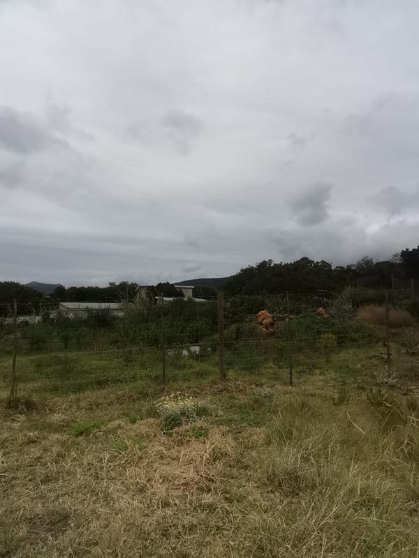 0 Bedroom Property for Sale in Albertinia Western Cape